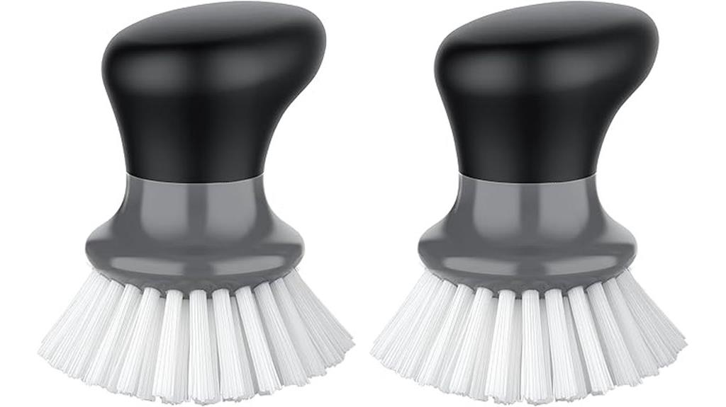 dual palm dish brushes