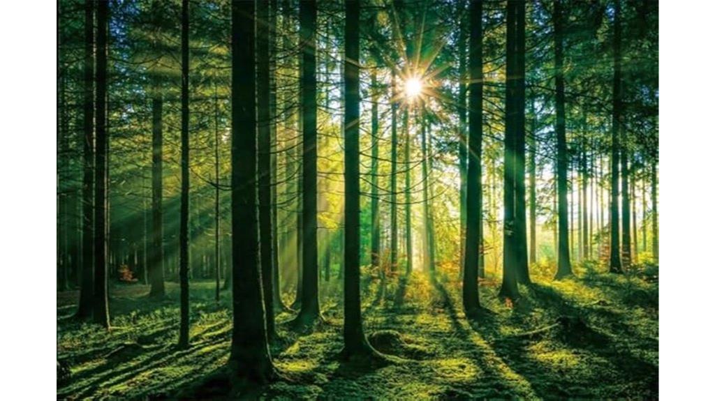 green forest photography backdrop