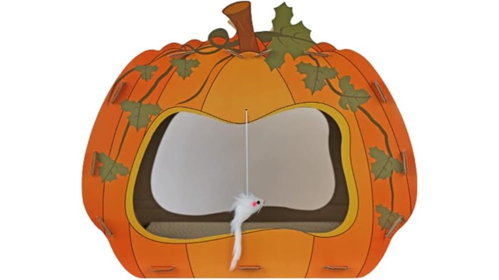 halloween pumpkin cat house