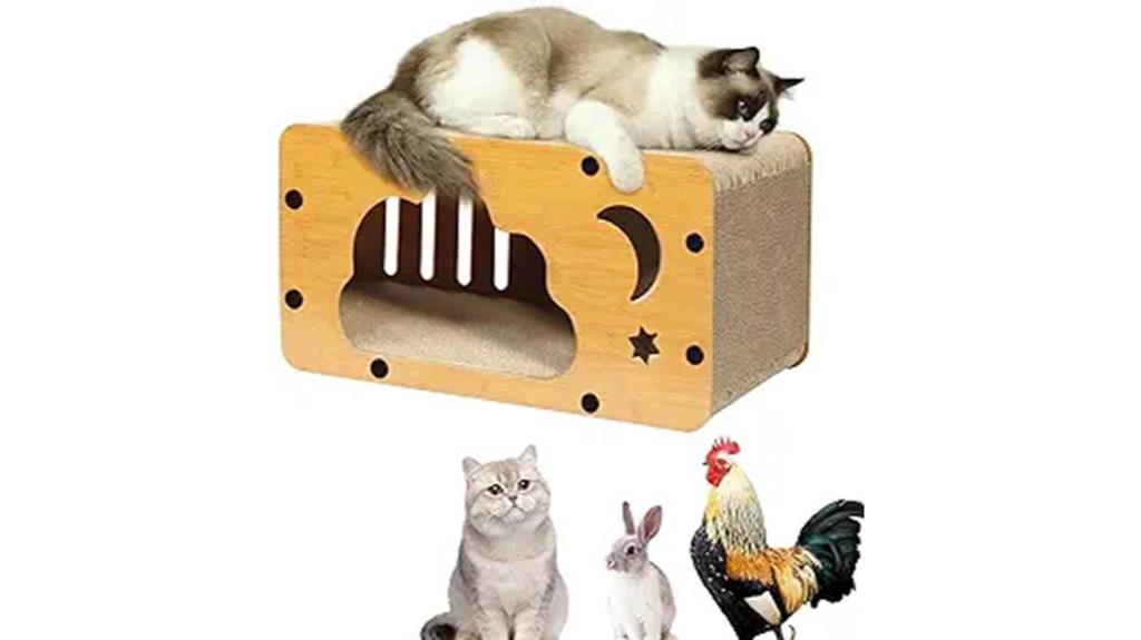 large cardboard cat house