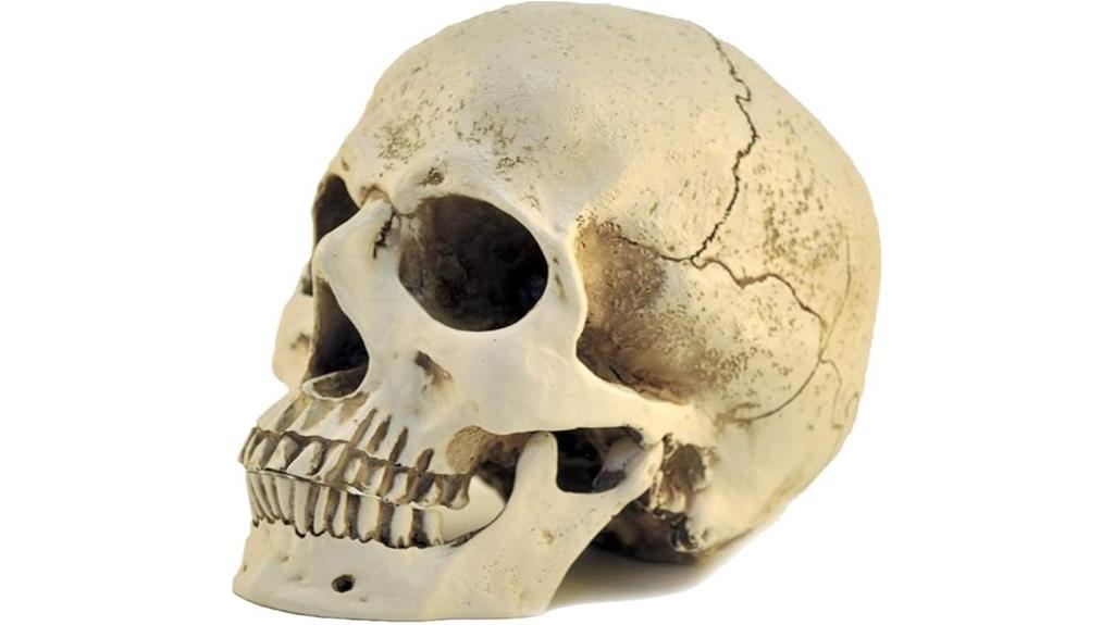 resin skull halloween decor