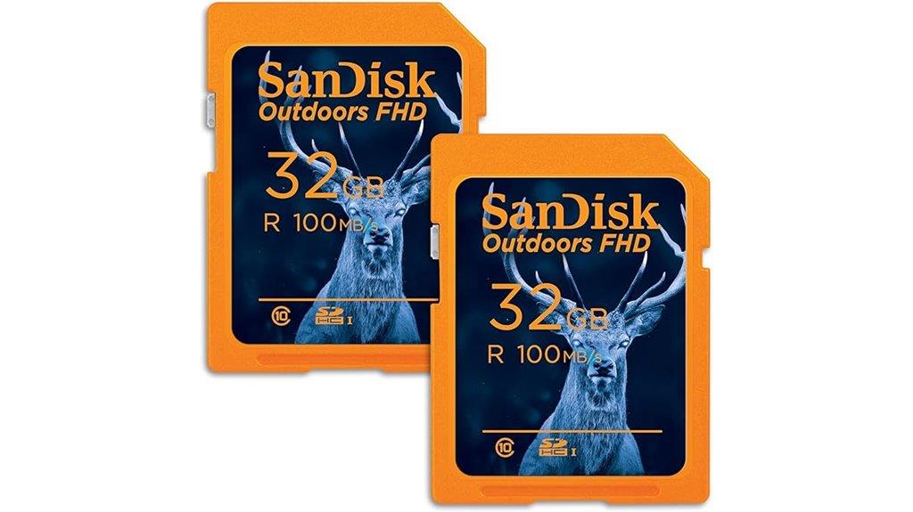 sandisk 32gb dual pack