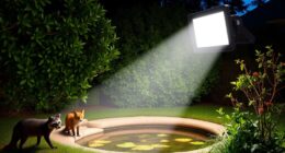 top motion activated backyard floodlights