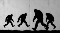 top sasquatch wall decals