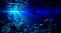 top underwater led lighting