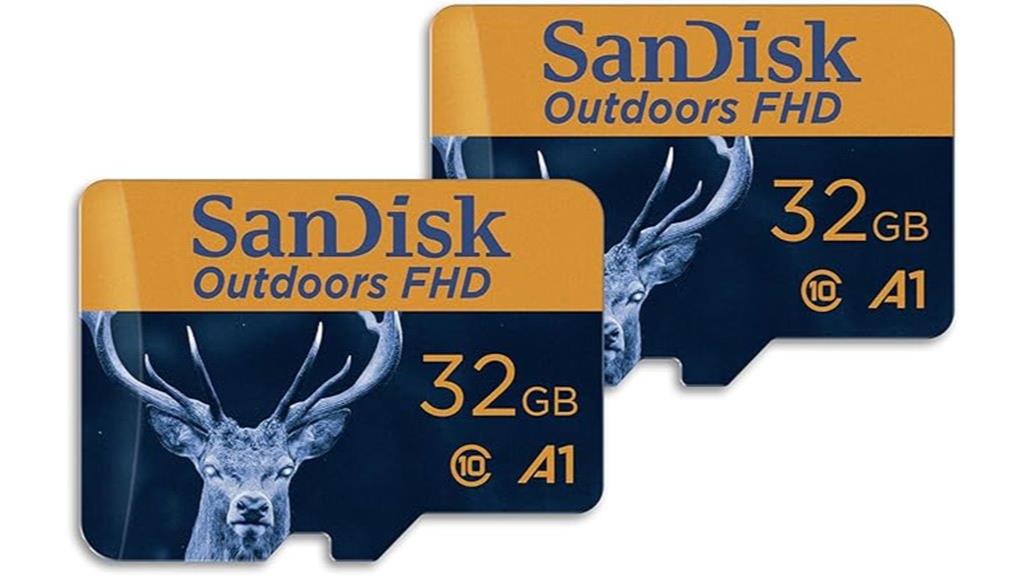 two 32gb microsd cards