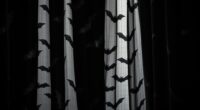 vampire bat blackout curtains