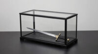 10 Best Sword Display Case For Fantasy Monster Decor In 2026