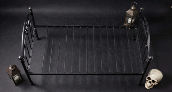 11 Best Wrought Iron Bed Frame for Spooky Bedrooms in 2026