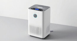 4 Best Dehumidifier for Basement Prop Storage in 2026