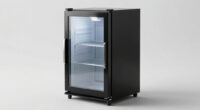 5 Best Display Refrigerator For Horror Prop Beverages In 2026