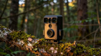6 Best Wildlife Camera Bundle For Cryptid Researchers In 2026