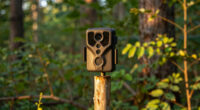 8 Best Trail Camera Bundle For Bigfoot Stakeouts In 2026