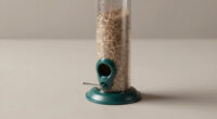 8 Best Wildlife Feeder For Night Observation Posts In 2026