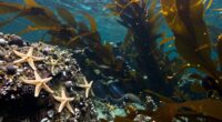 ancient aquatic life dominance