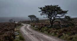 folklore s lessons on fear