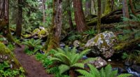monster habitats may overlap