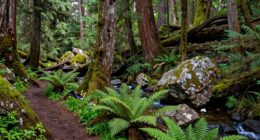 monster habitats may overlap