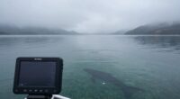 sonar potential lake monster