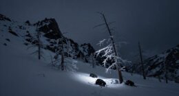 unsettling mysteries persist unresolved