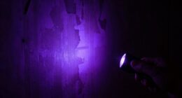 uv flashlights for ghosts