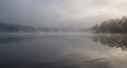 weather impacts lake sightings