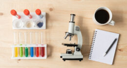 11 Best Educational Science Kits For Adults In 2026