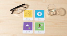9 Best Science Reference Flashcards in 2026