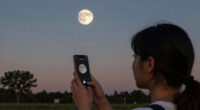 Look up Monday evening for the full strawberry moon