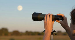 Strawberry Moon 2026: June’s full moon is also one of the smallest of the year called a micromoon