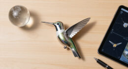 Nasa Hummingbird Shaped Satellite Image