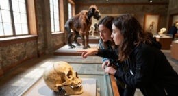 'Neanderthals Among Us' Review